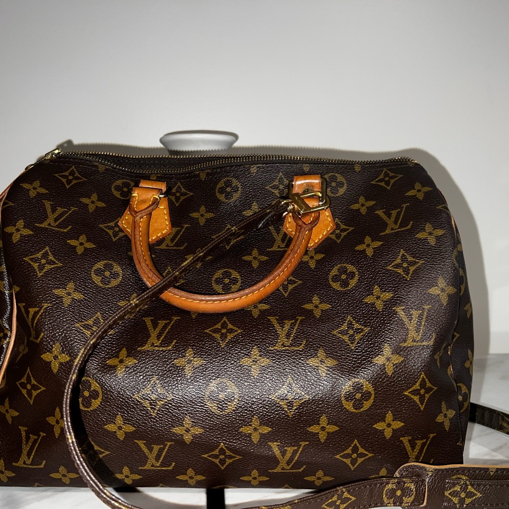 Louis Vuitton Monogram Handbag